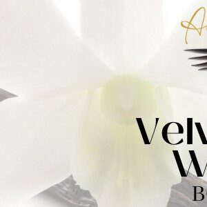 Velvet Vanilla Whispers Body Butter